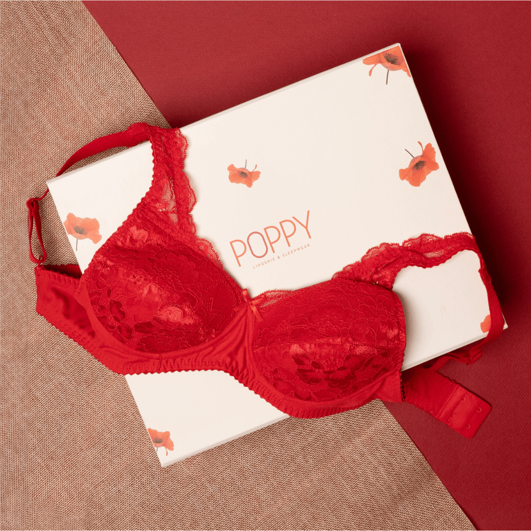 Blossom 003 – Padded Lace Bra in Chic Colours